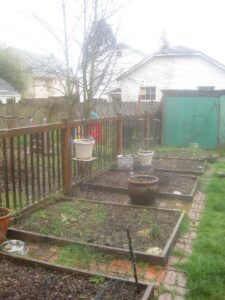 Green City Garden Girl: Garden of (Un)Eaten